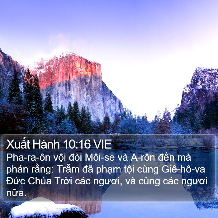 Xuất Hành 10:16 VIE Bible Study