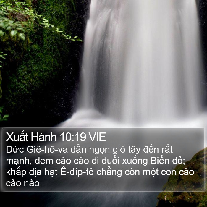 Xuất Hành 10:19 VIE Bible Study