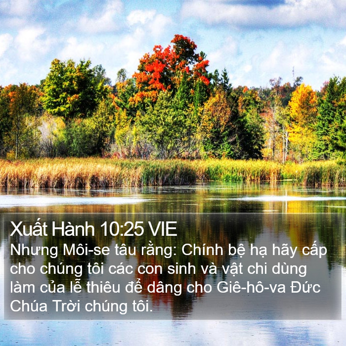 Xuất Hành 10:25 VIE Bible Study