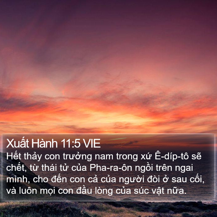 Xuất Hành 11:5 VIE Bible Study