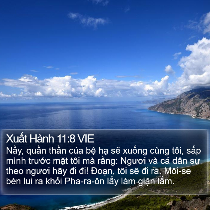 Xuất Hành 11:8 VIE Bible Study