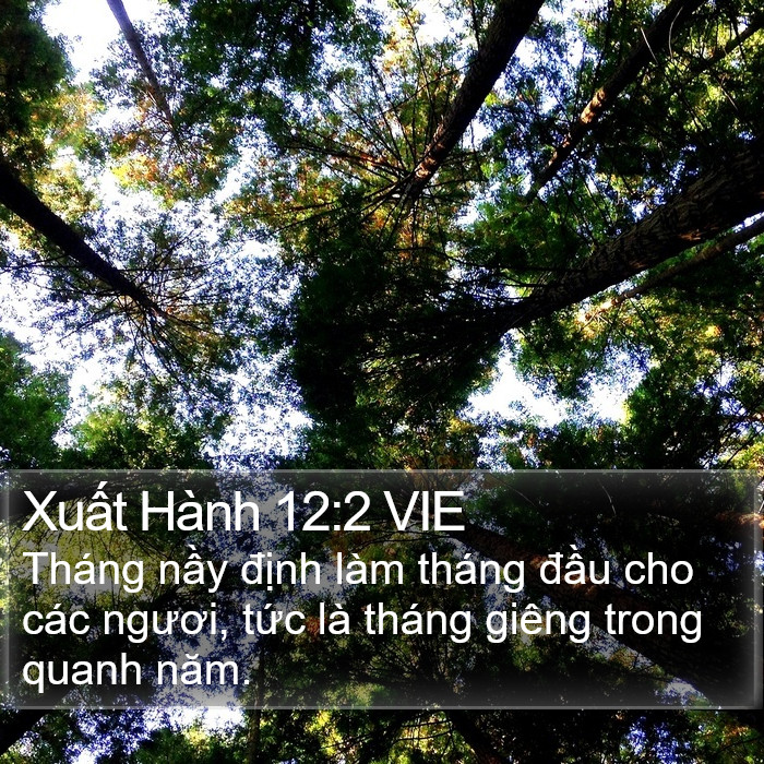 Xuất Hành 12:2 VIE Bible Study