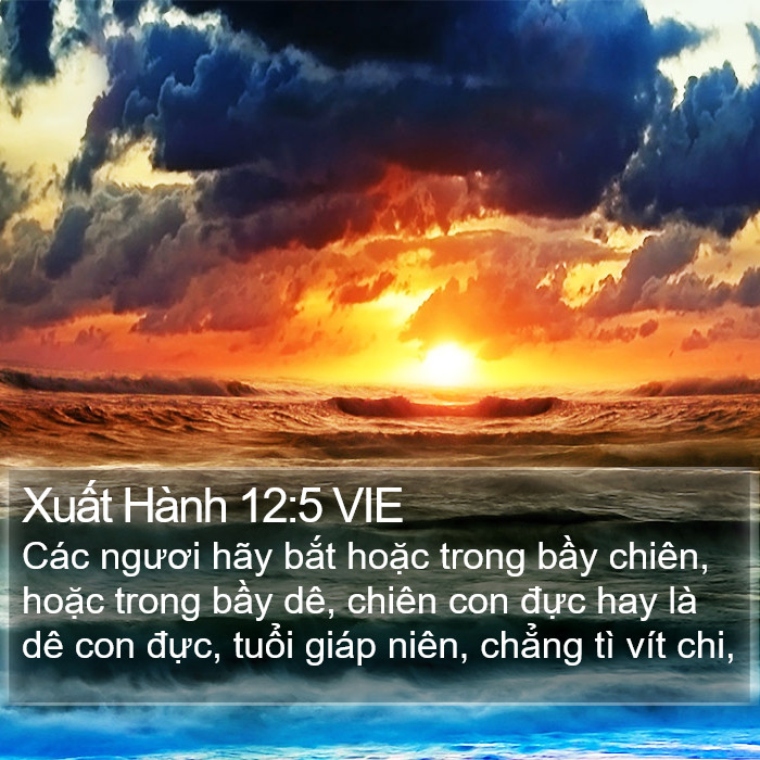 Xuất Hành 12:5 VIE Bible Study