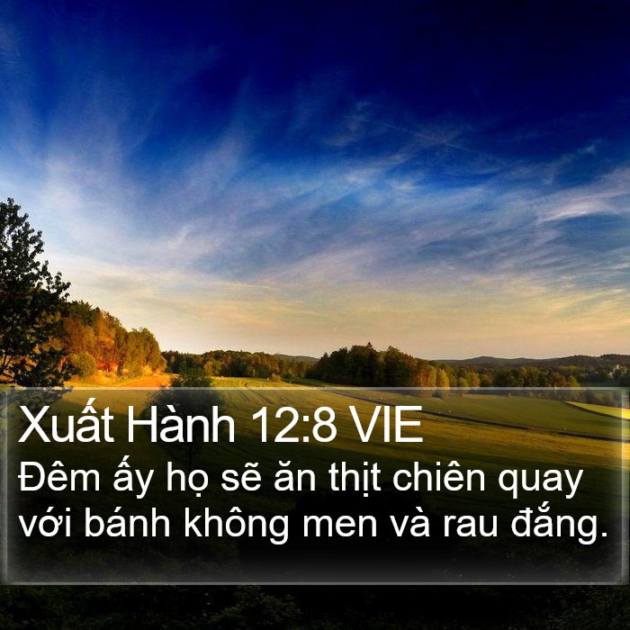 Xuất Hành 12:8 VIE Bible Study