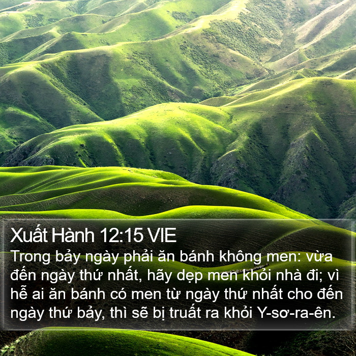 Xuất Hành 12:15 VIE Bible Study