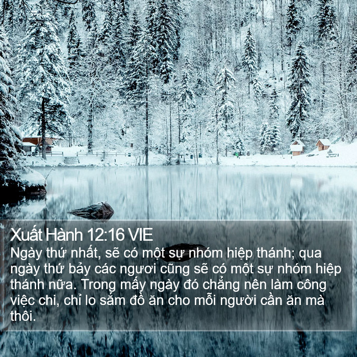 Xuất Hành 12:16 VIE Bible Study