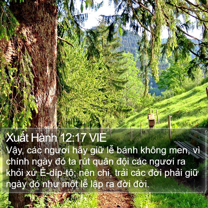 Xuất Hành 12:17 VIE Bible Study