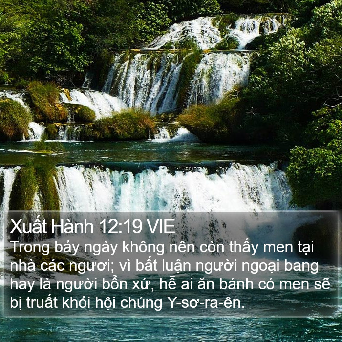 Xuất Hành 12:19 VIE Bible Study