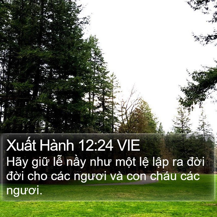 Xuất Hành 12:24 VIE Bible Study