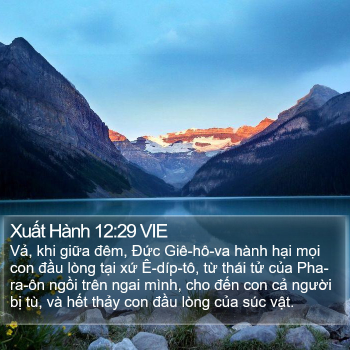 Xuất Hành 12:29 VIE Bible Study