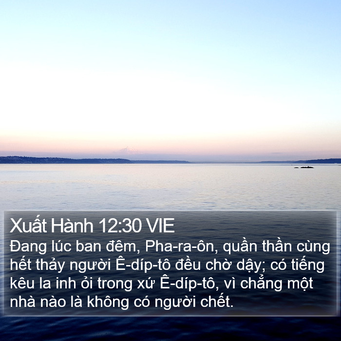 Xuất Hành 12:30 VIE Bible Study