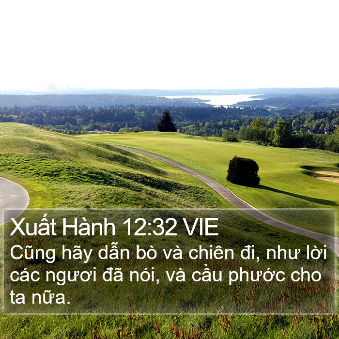 Xuất Hành 12:32 VIE Bible Study