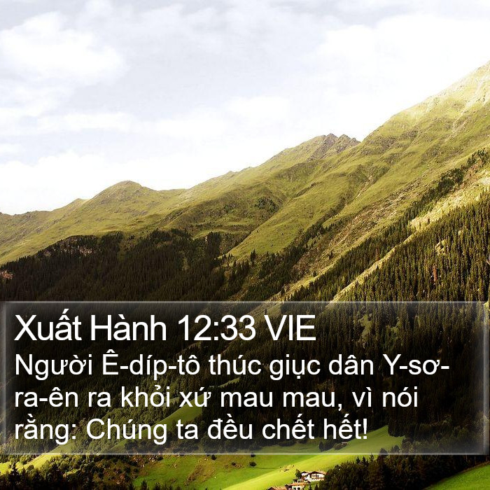 Xuất Hành 12:33 VIE Bible Study