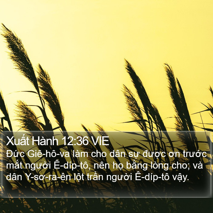 Xuất Hành 12:36 VIE Bible Study