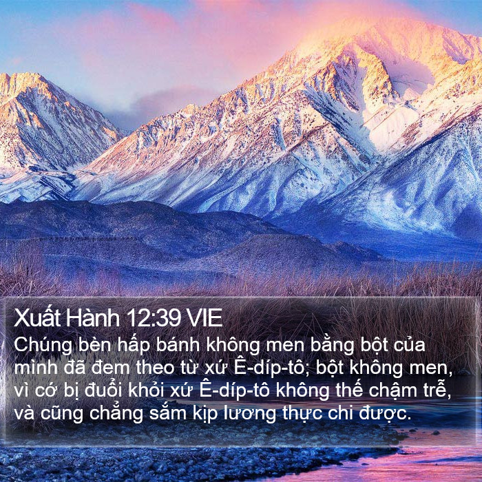 Xuất Hành 12:39 VIE Bible Study