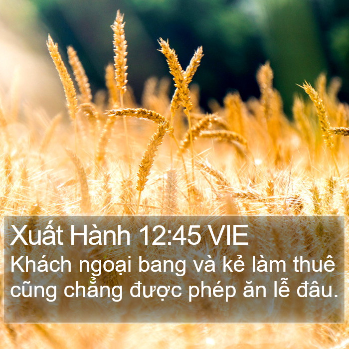 Xuất Hành 12:45 VIE Bible Study