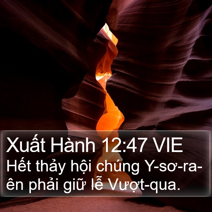 Xuất Hành 12:47 VIE Bible Study