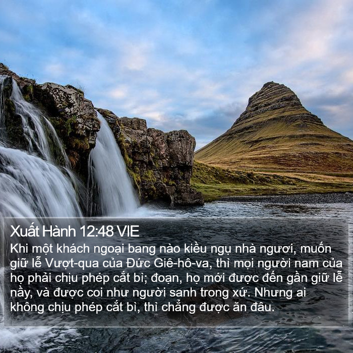 Xuất Hành 12:48 VIE Bible Study