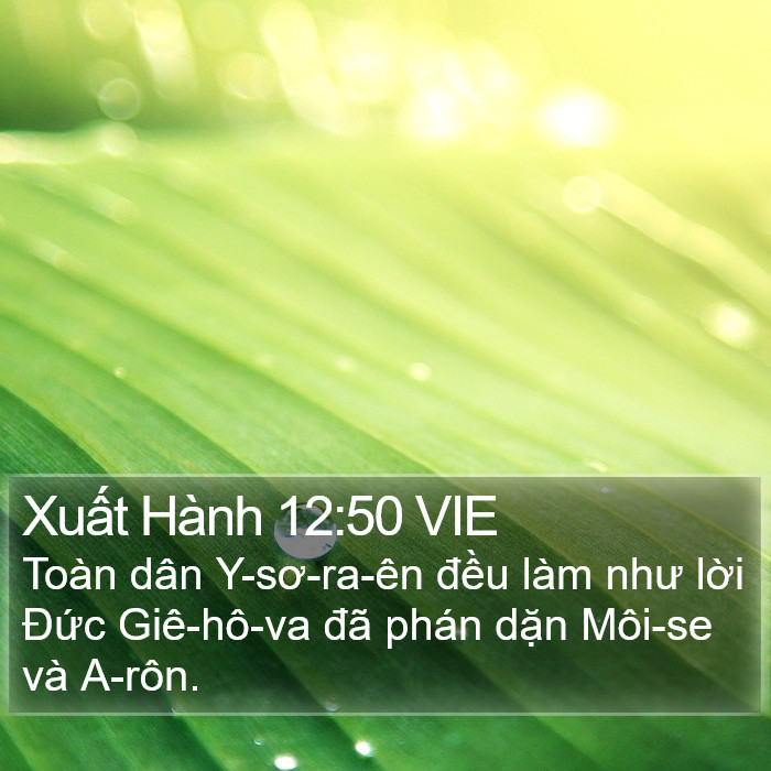 Xuất Hành 12:50 VIE Bible Study