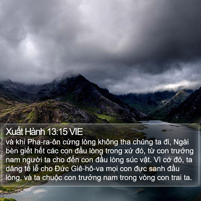 Xuất Hành 13:15 VIE Bible Study