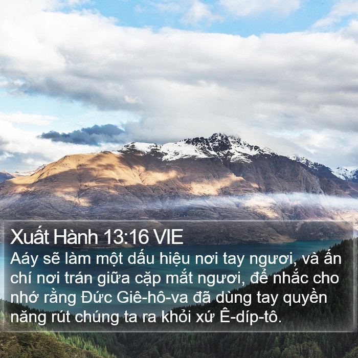 Xuất Hành 13:16 VIE Bible Study