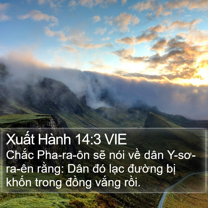 Xuất Hành 14:3 VIE Bible Study