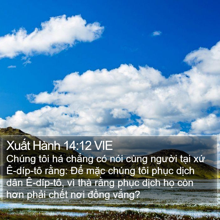 Xuất Hành 14:12 VIE Bible Study