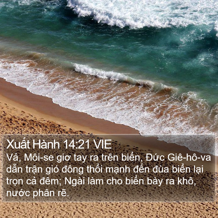 Xuất Hành 14:21 VIE Bible Study