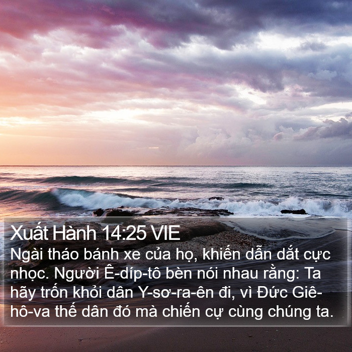 Xuất Hành 14:25 VIE Bible Study