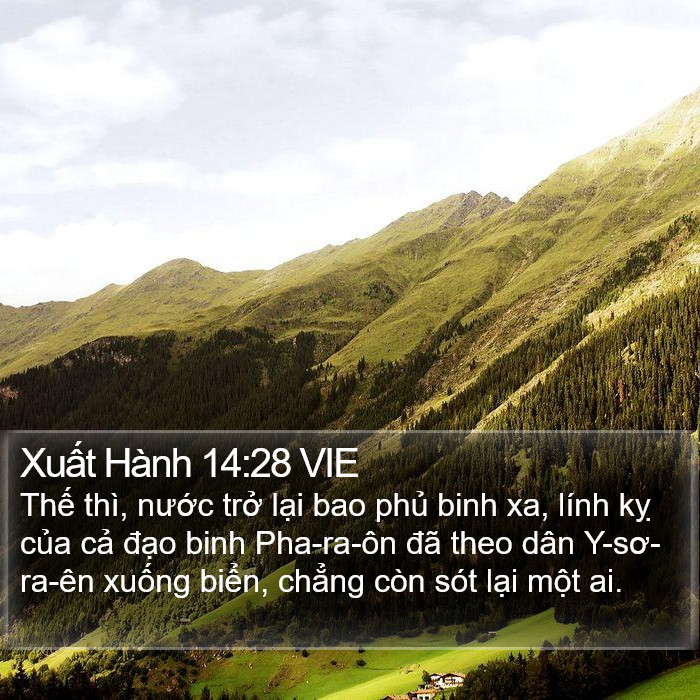 Xuất Hành 14:28 VIE Bible Study