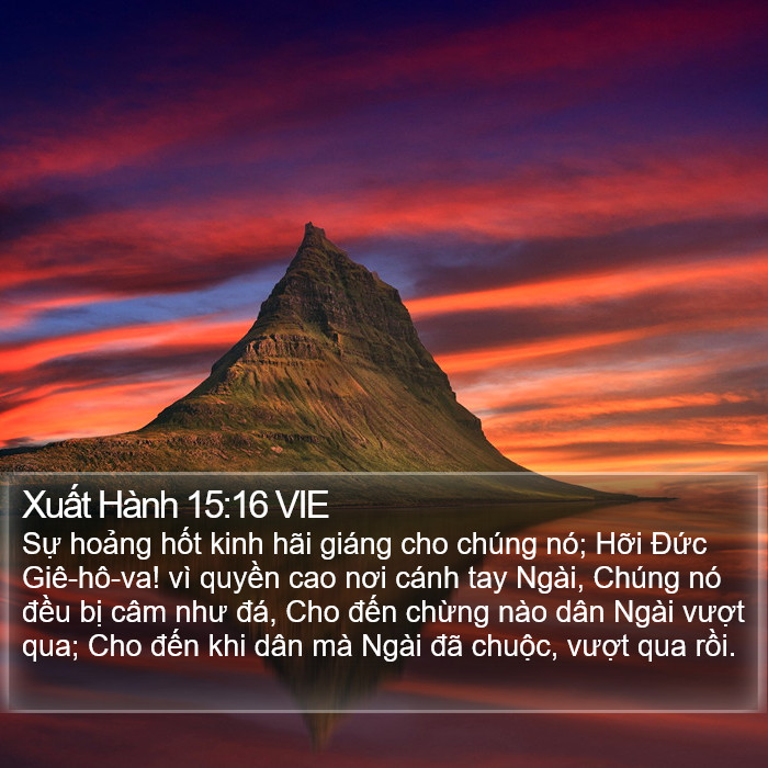 Xuất Hành 15:16 VIE Bible Study