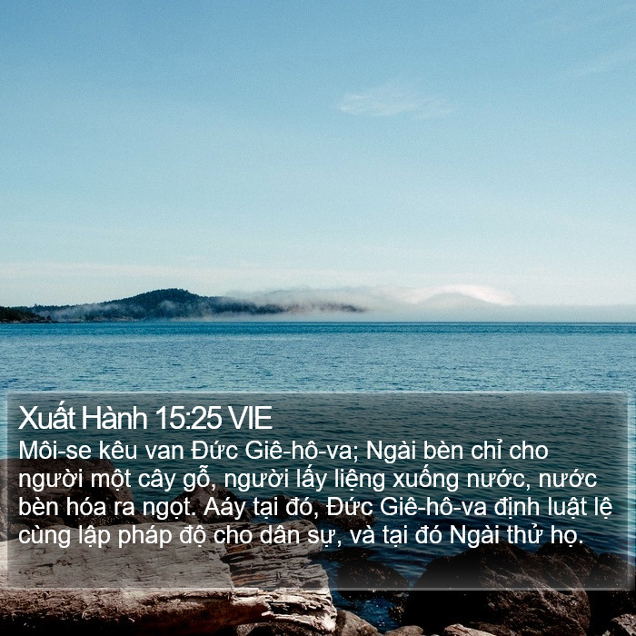 Xuất Hành 15:25 VIE Bible Study