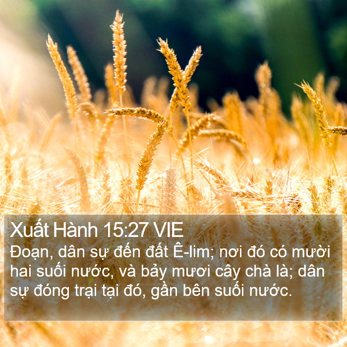 Xuất Hành 15:27 VIE Bible Study