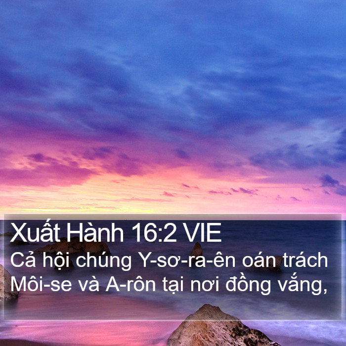 Xuất Hành 16:2 VIE Bible Study