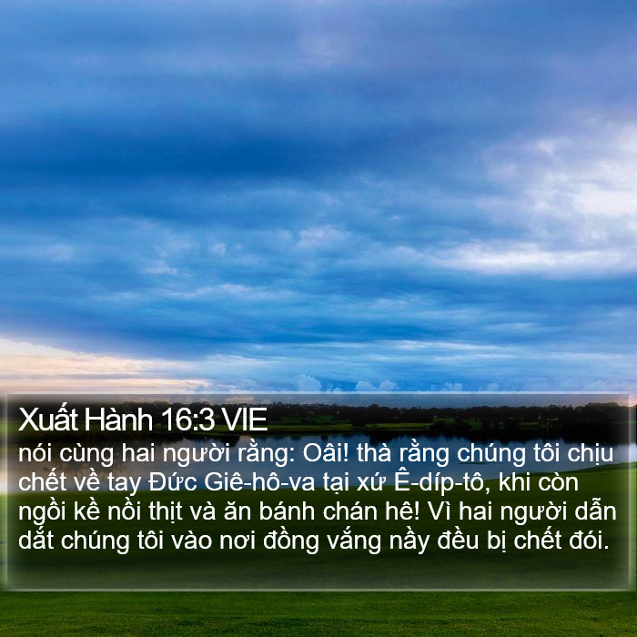 Xuất Hành 16:3 VIE Bible Study