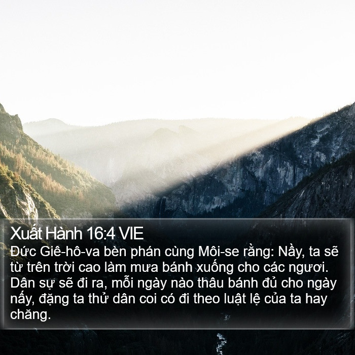 Xuất Hành 16:4 VIE Bible Study