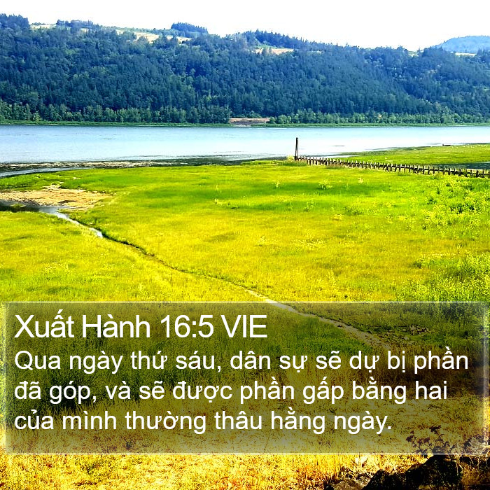 Xuất Hành 16:5 VIE Bible Study
