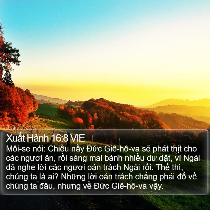 Xuất Hành 16:8 VIE Bible Study