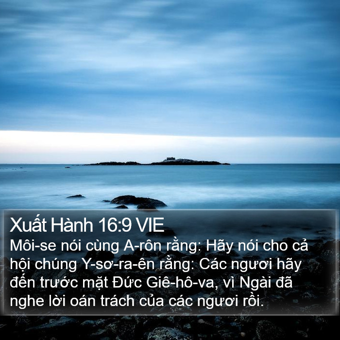 Xuất Hành 16:9 VIE Bible Study