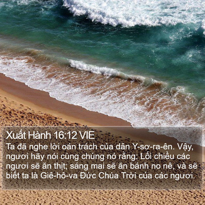 Xuất Hành 16:12 VIE Bible Study