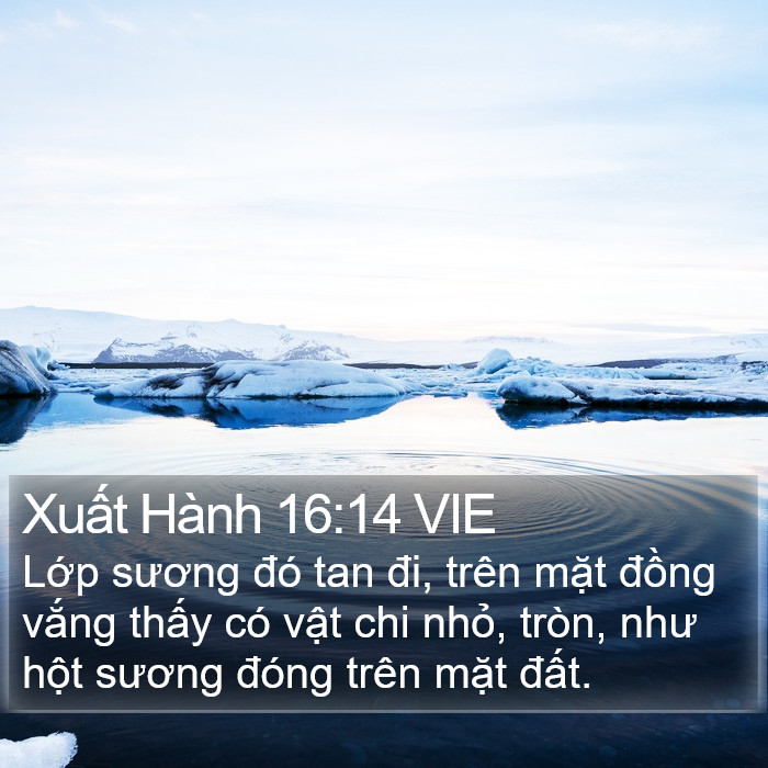 Xuất Hành 16:14 VIE Bible Study