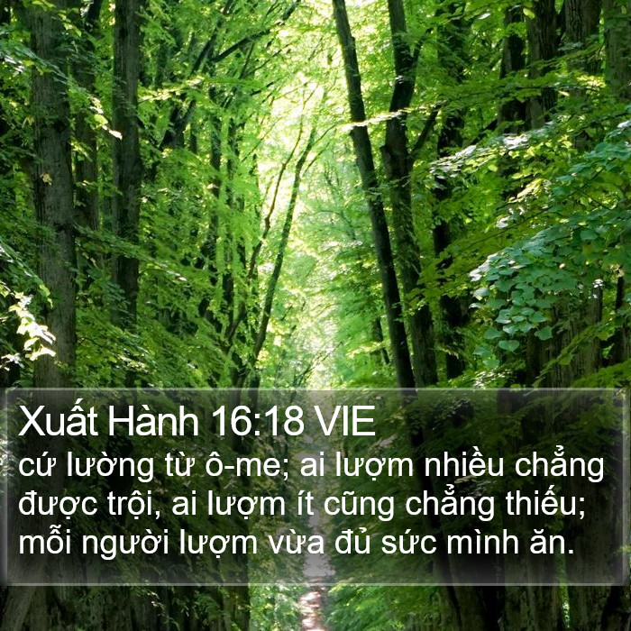 Xuất Hành 16:18 VIE Bible Study