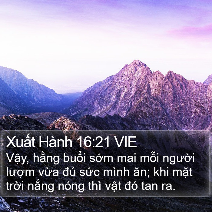 Xuất Hành 16:21 VIE Bible Study