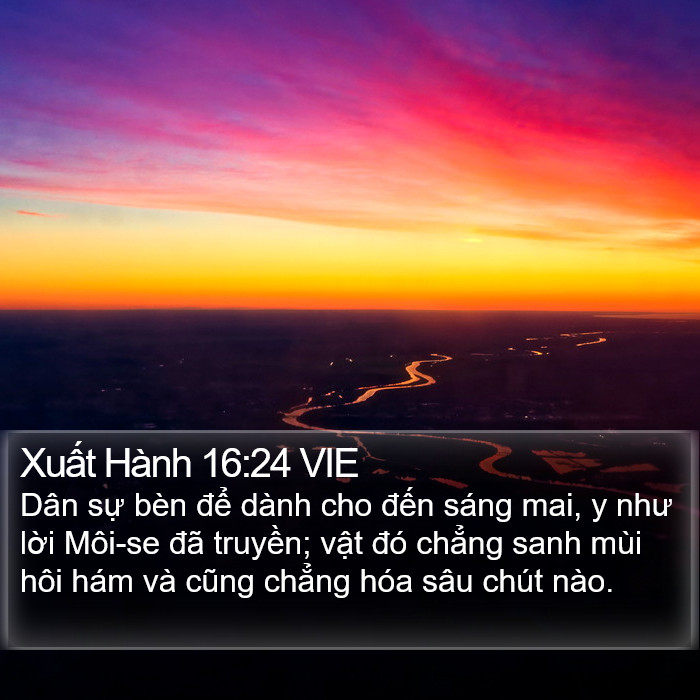 Xuất Hành 16:24 VIE Bible Study