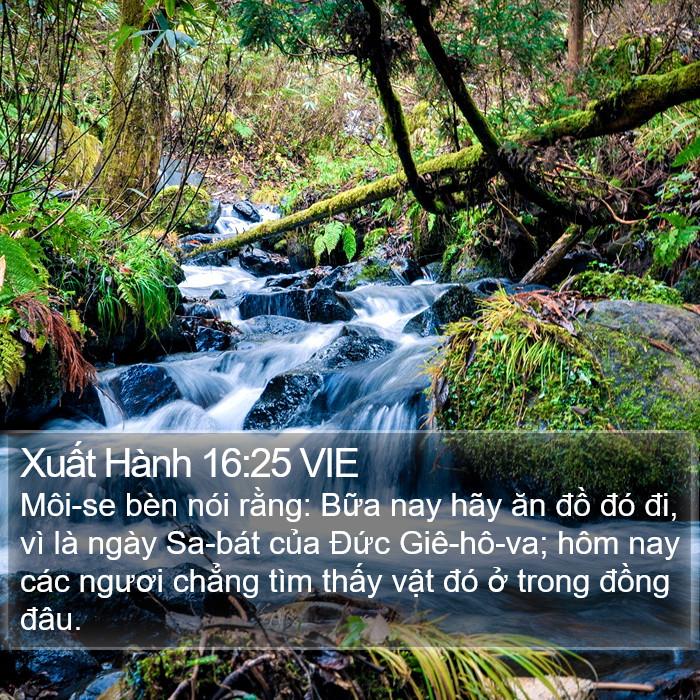 Xuất Hành 16:25 VIE Bible Study