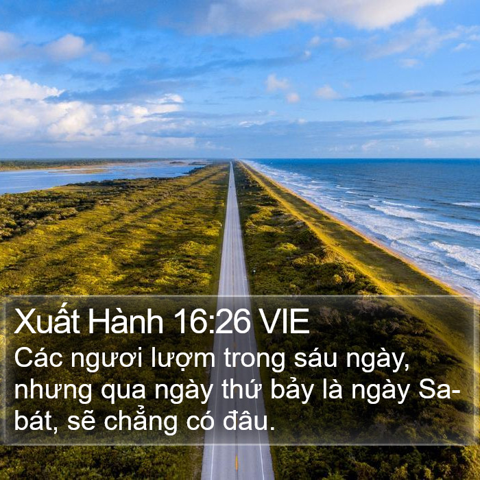 Xuất Hành 16:26 VIE Bible Study