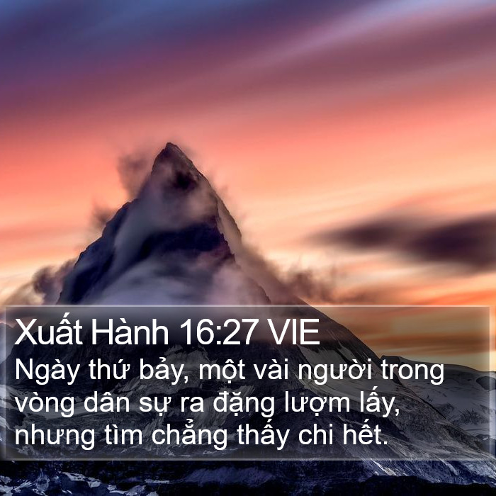Xuất Hành 16:27 VIE Bible Study