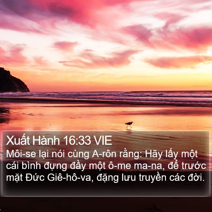 Xuất Hành 16:33 VIE Bible Study