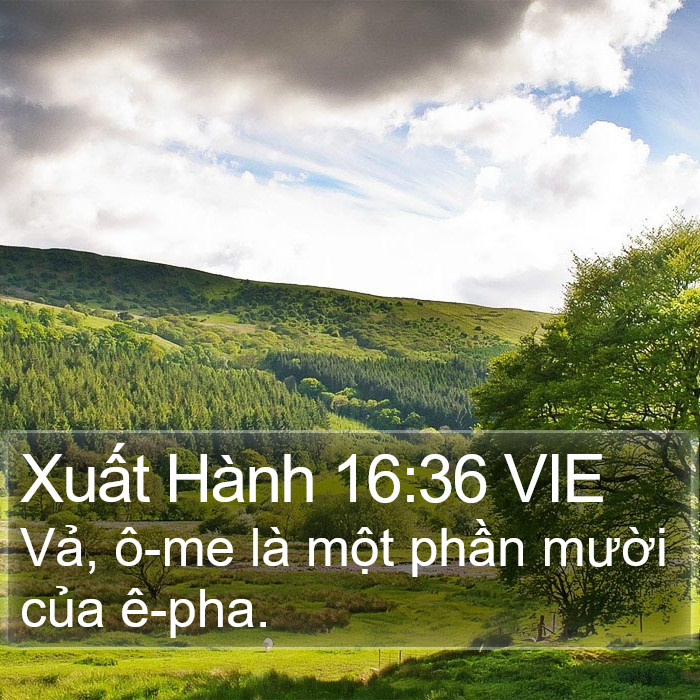 Xuất Hành 16:36 VIE Bible Study