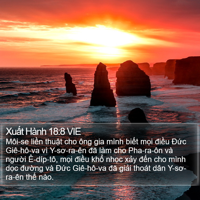 Xuất Hành 18:8 VIE Bible Study